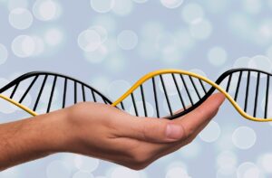 dna-1500076_1280